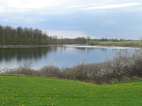 Property photo 69 - REAL ESTATE AUCTION, 163+/- Acres offered in 8 Tracts